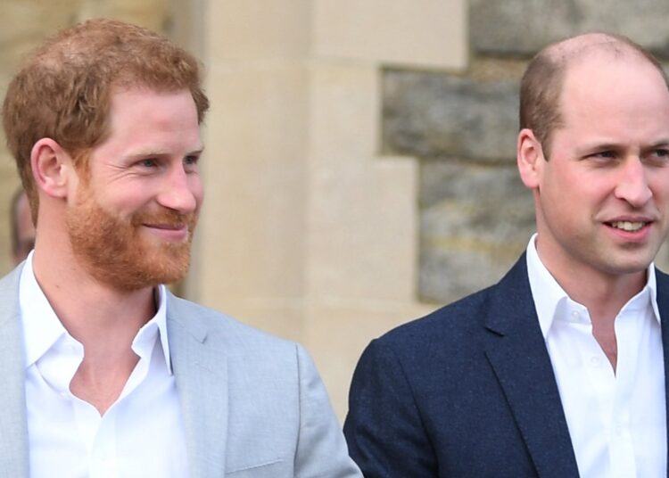 Prince William Shares Rare Comment About Brother Prince Harry Amid Ongoing Royal Family Feud | Prince Harry, Prince William | Celebrity News and Gossip | Entertainment, Photos and Videos
