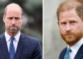 Prince William drops clue about state of his rift with Prince Harry - Royals - News