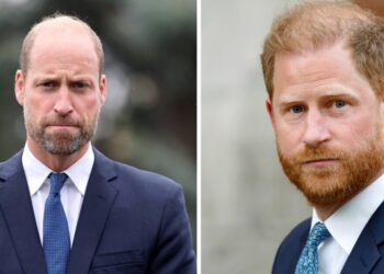 Prince William drops clue about state of his rift with Prince Harry - Royals - News