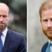 Prince William drops clue about state of his rift with Prince Harry - Royals - News