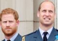Prince William makes rare comment about Harry amid feud - Celebrity News - Entertainment