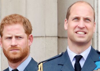 Prince William makes rare comment about Harry amid feud - Celebrity News - Entertainment