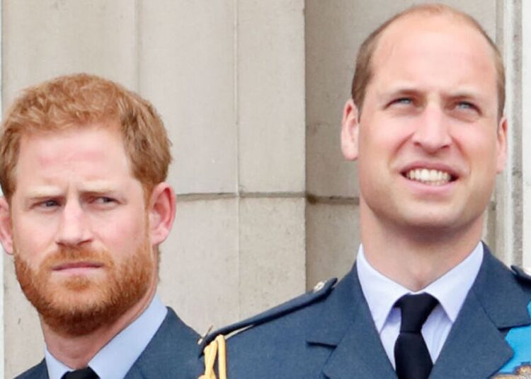Prince William makes rare comment about Harry amid feud - Celebrity News - Entertainment