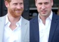 Prince William’s Rare Comment About Prince Harry