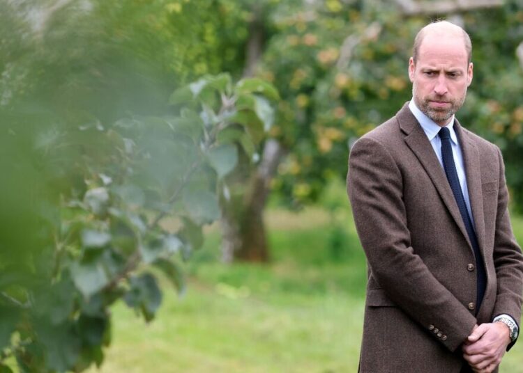 Prince William's response to Meghan Markle's claims show 'molten anger' - Royals - News