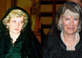 Princess Diana and Queen Camilla's birthday party showdown - Celebrity News - Entertainment