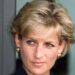 Princess Diana fans hit back at Juan Carlos' 'repulsive' slurs - Royals - News
