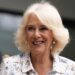 Queen Camilla’s Brooch Sends Message About the Royal Family