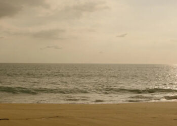 Rachel McAdams and Dylan O’Brien Are Deserted on an Island Together in Sam Raimi’s Latest Thriller