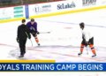 Reading Royals open training camp in their first season under new coach Anthony Peters | Sports