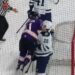 Reading Royals return to Santander Arena for preseason game for charity | Berks Regional News