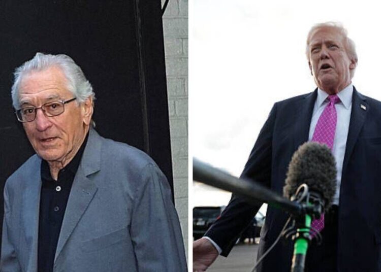 Robert De Niro faces backlash for calling Trump aide 'Nazi' - Celebrity News - Entertainment