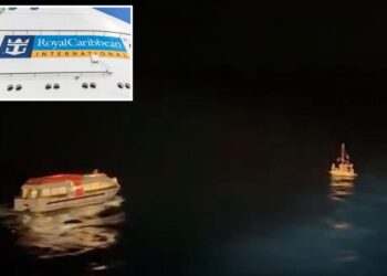 Royal Caribbean cruise ship rescues stranded group aboard ramshackle raft near Cuba: 'Falling apart'