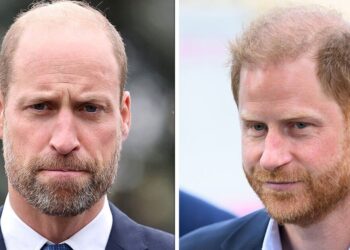 Royal Family: Prince Harry's lawyer drags William into lawsuit | Royal | News