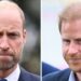 Royal Family: Prince Harry's lawyer drags William into lawsuit | Royal | News