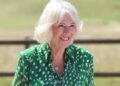 Royal Family drops new update on Queen Camilla’s powerful appearance