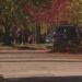 83-year-old man stabbed in Royal Oak