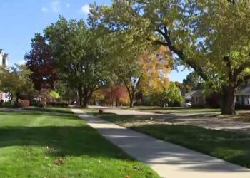 Royal Oak grandfather stabbed to death while protecting granddaughter