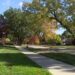 Royal Oak grandfather stabbed to death while protecting granddaughter