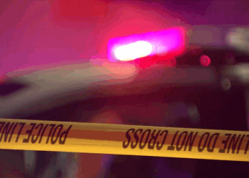 Royal Oak police: 83-year-old man fatally stabbed, woman arrested