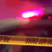 Royal Oak police: 83-year-old man fatally stabbed, woman arrested