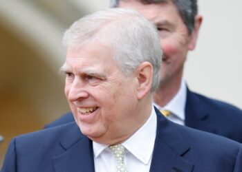 Royals May Have Labeled Prince Andrew a Traitor in Coat of Arms Move