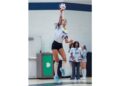 Royals continue their win streak