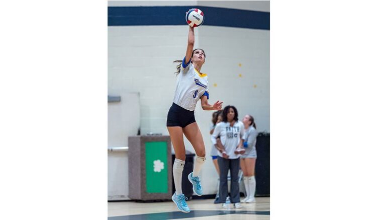 Royals continue their win streak