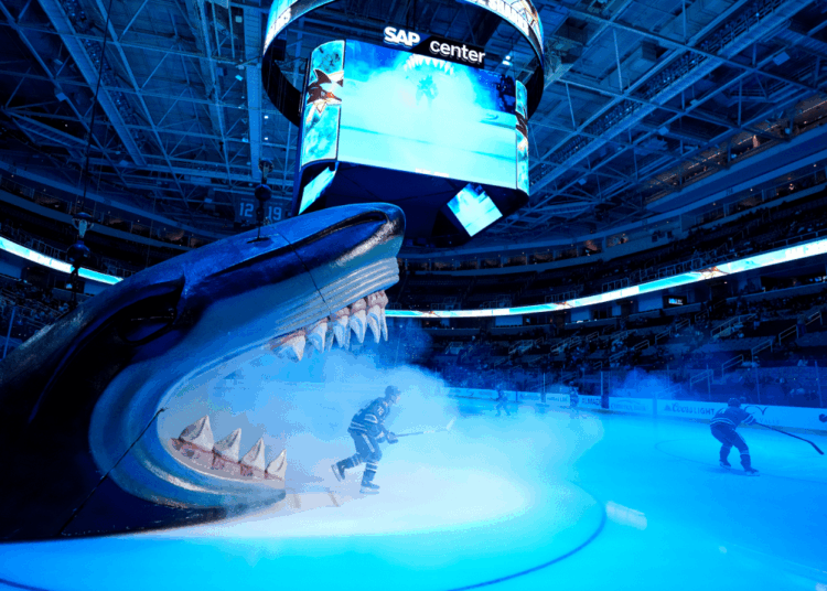 Sharks announce new song, perks & partnerships