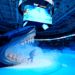 Sharks announce new song, perks & partnerships
