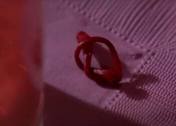 A cherry stem tied to a knot on the table on Twin Peaks