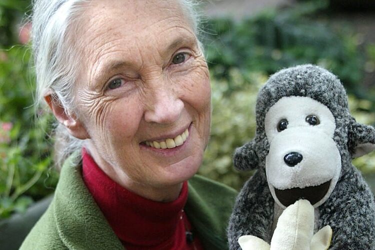 Stars React to Jane Goodall’s Passing at 91 | Jane Goodall | Celebrity News and Gossip | Entertainment, Photos and Videos