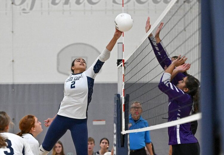Sussex Academy volleyball overthrows Royals