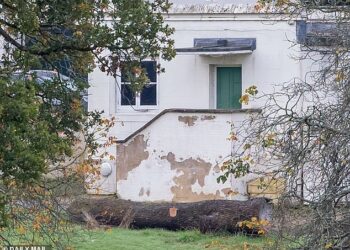 Cracks and mould are visible on the outside walls of Royal Lodge in Windsor yesterday