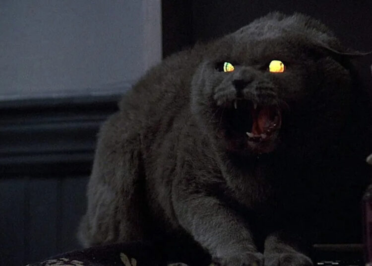 Church from Pet Sematary.