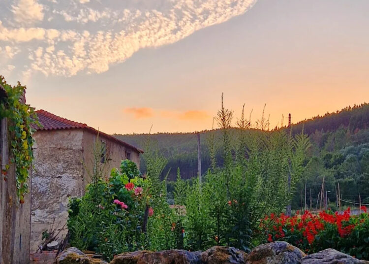 CASA PIP