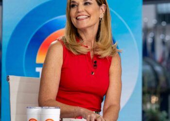savannah guthrie 2025 news wordle game show