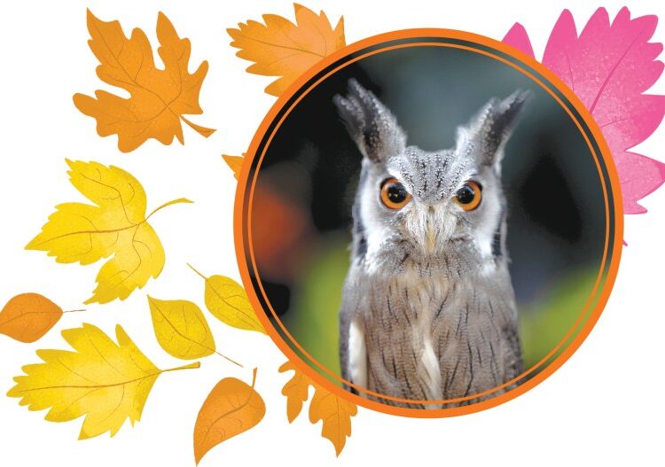 Top spooky season events in Pittsburgh - Pittsburgh City Paper