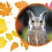 Top spooky season events in Pittsburgh - Pittsburgh City Paper