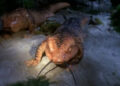 Tom Paris and Captain Janeway have transformed into big pink salamanders on Star Trek: Voyager
