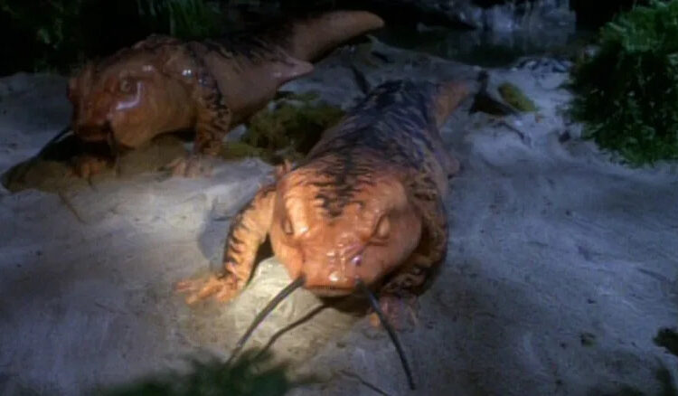 Tom Paris and Captain Janeway have transformed into big pink salamanders on Star Trek: Voyager