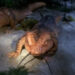 Tom Paris and Captain Janeway have transformed into big pink salamanders on Star Trek: Voyager