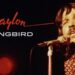 Waylon Jennings’ lost recordings brought to life on new album 'Songbird'