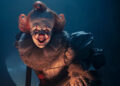 Bill Skarsgård plays the evil Pennywise in 'It: Welcome to Derry' (HBO)