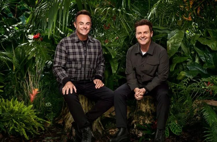 two individuals seated on a log amidst dense tropical foliage