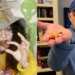 When is trick-or-treating happening in Iowa City in 2025?