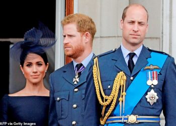 Prince Harry made unprecedented comments about his brother in an interview in 2019 sending royal fans and commentators into a spin (pictured July 2018)