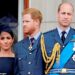 Prince Harry made unprecedented comments about his brother in an interview in 2019 sending royal fans and commentators into a spin (pictured July 2018)