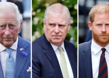 Will Prince Andrew Lose His Security Like Harry After Royal Title Strip?