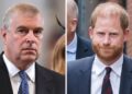 Will Prince Andrew Still Have Royal Protection?